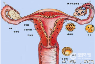 最容易被娃记恨的行为，你却浑然不知