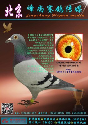 钢铁直女，新时代理想伴侣