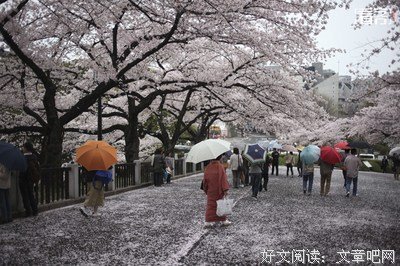 “消失”的100万日本人：逃避虽可耻但有用 | 看客
