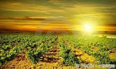 【九点晚祷】主啊，帮助我们，在祢恩典上刚强起来！