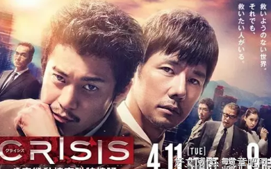 《CRISIS 公安机动搜查队特搜组》好看吗？经典观后感10篇