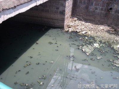 小灵的句子