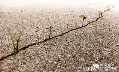 关于坚不可摧的语句