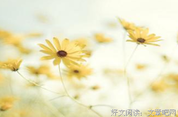 最全的《沙与沫》经典语录大全