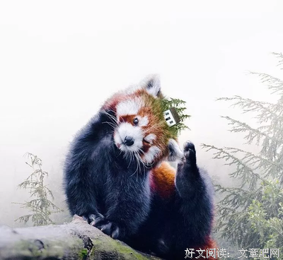 见过世面的孩子，到底有多厉害？