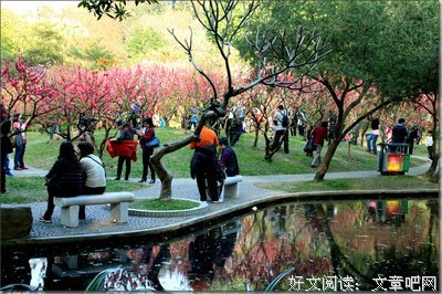 又是一年春思在心田
