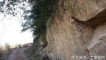 柔柔心尖半点悯