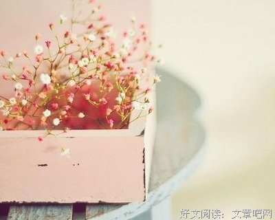 关于毕淑敏的座右铭