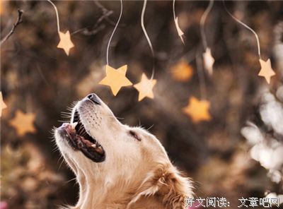 15条关于绚烂的经典语句