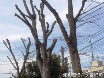 关于细枝末节的格言
