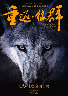 《重返·狼群》观后感10篇