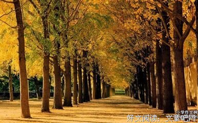 柳影的名句_关于柳影的名句