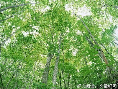 幽静的语句摘抄_关于幽静的语句