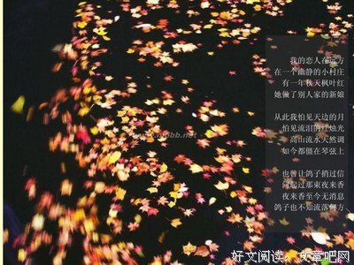 最全的《情人》名句欣赏大全