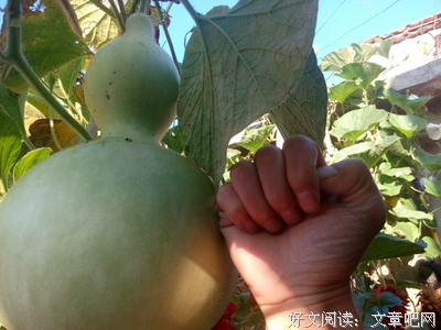 描写念儿的经典句子