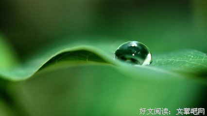 关于张小的唯美语录