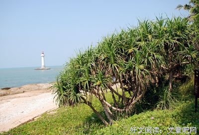 时间改变的不是爱情，而是人心