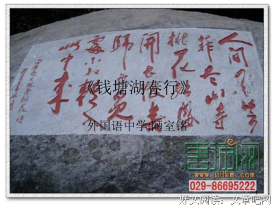 乱花渐欲迷人眼的名言_关于乱花渐欲迷人眼的名言