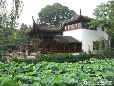 最新的水木丁经典名句