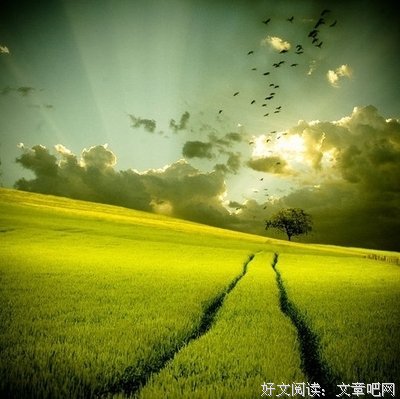 最新的《莫负寒夏》经典句子