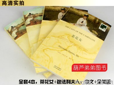 最新的《包法利夫人》小说摘抄