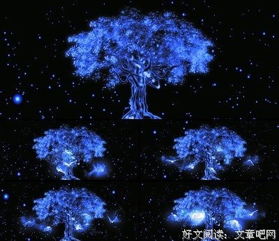 最新的《守护甜心》经典的句子