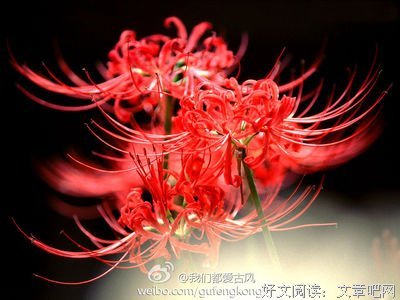 纯音乐 |《渡·红尘》红尘飘渺，内心只留下一片净土