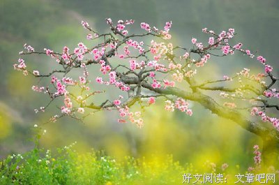 人生，守一份缘，惜一份情
