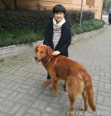 女人的宿命：前半生儿子难养，后半生儿子被抢