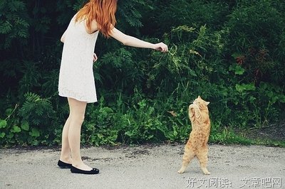 最经典的陈年疚15句经典名言