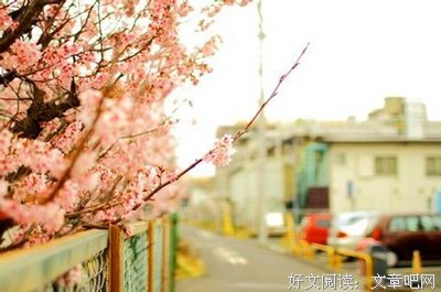 《至此终年》经典句子大全