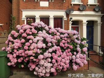 寒冷的语句摘抄_关于寒冷的语句