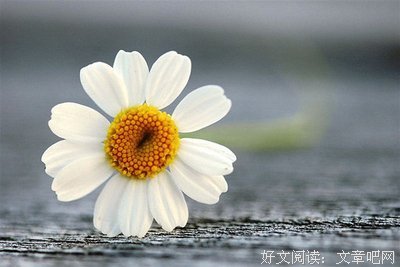 最经典的《送你一颗子弹》好段摘抄