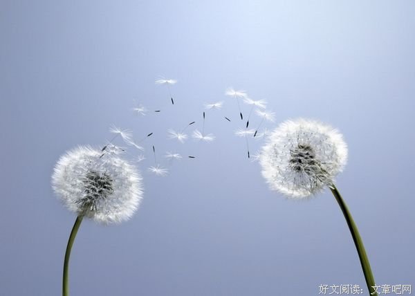 你最大的敌人，是松懈时的自己