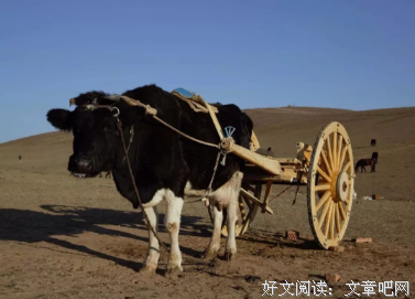林语堂：诚实，是一个人最高贵的品德