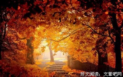 万箭的语句摘抄_关于万箭的语句