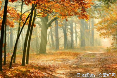 最经典的秋叶一雨经典句子