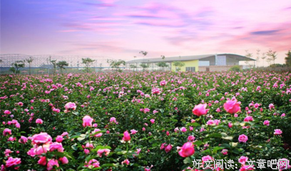 最新的《生活的另一种美好》名句欣赏