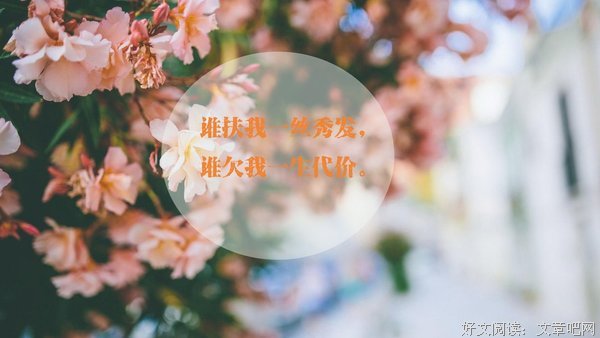 关于双燕的唯美语录