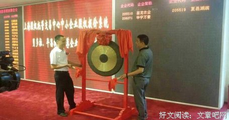 &quot;诈骗200多万：给鸭子花了100万，整容38万&quot;|虚
