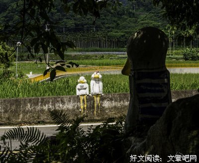 免费英语数学启蒙游戏：驼鹿数学【鸭鸭鹿系列】