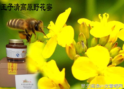 国学共读 | 振保娶了理想中的妻子白玫瑰