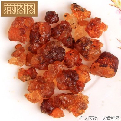 燕窝食好啲的读后感10篇