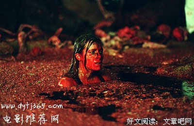 2017斯蒂芬·金经典名句
