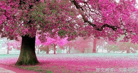最新的《就像没有明天那样去生活》经典的句子大全