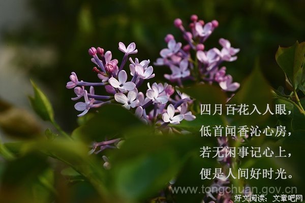 又是人间四月天