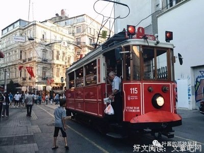 《伊斯坦布尔的猫》的观后感10篇