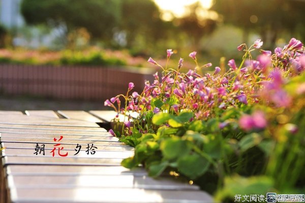 关于只争朝夕的名句摘抄