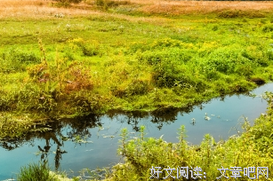 关于空虚名言名句