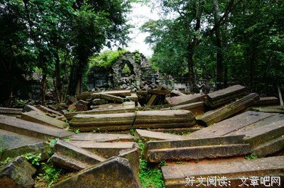 关于团团的名言